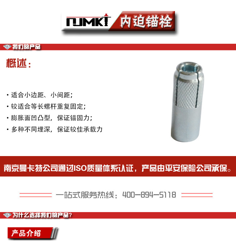 內(nèi)迫式錨栓